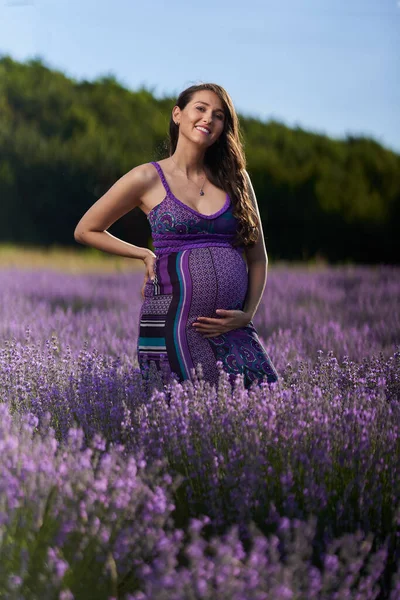 Gyönyörű Fiatal Terhes Egy Levendulamezőn Teljes Virágzásban — Stock Fotó