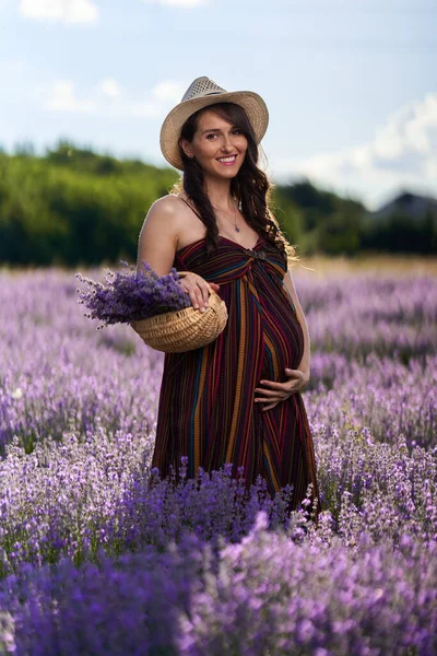 Hermosa Joven Embarazada Campo Lavanda Plena Floración — Foto de Stock