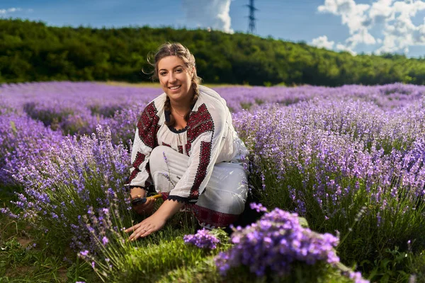 Jonge Vrouw Traditionele Roemeense Kostuum Oogsten Lavendel Uit Haar Tuin — Stockfoto