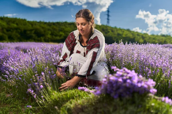 Jonge Vrouw Traditionele Roemeense Kostuum Oogsten Lavendel Uit Haar Tuin — Stockfoto