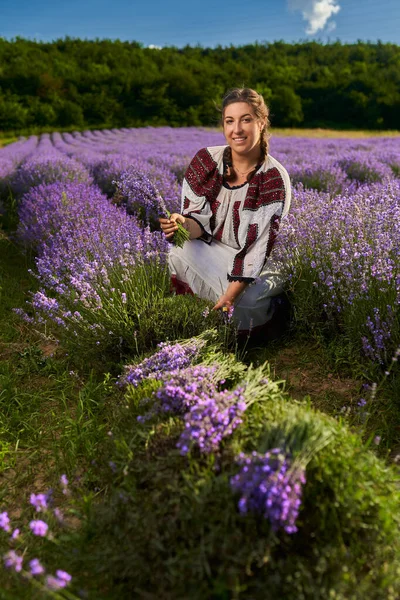 Ung Kvinna Traditionell Rumänsk Kostym Skördar Lavendel Från Sin Trädgård — Stockfoto