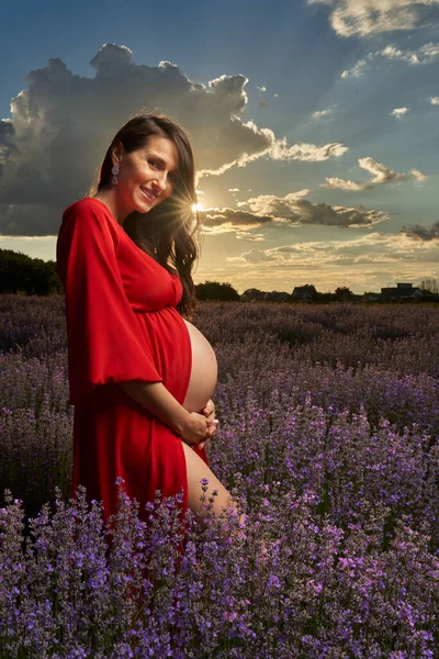 Frumos Tânără Gravidă Femeie Într Câmp Lavandă Plină Floare — Fotografie, imagine de stoc