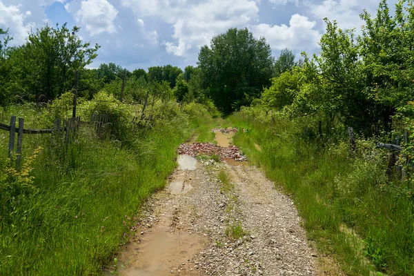 Matschige Landstraße Die Sommer Durch Obstplantagen Und Felder Führt — Stockfoto