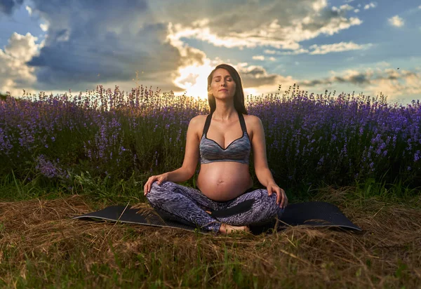 若いです妊娠中の女性行いますヨガ演習でラベンダー畑で日の出 — ストック写真