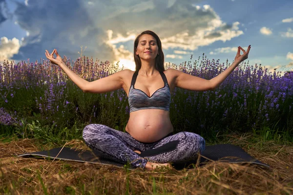 Giovane Donna Incinta Che Esercizi Yoga Campo Lavanda All Alba — Foto Stock