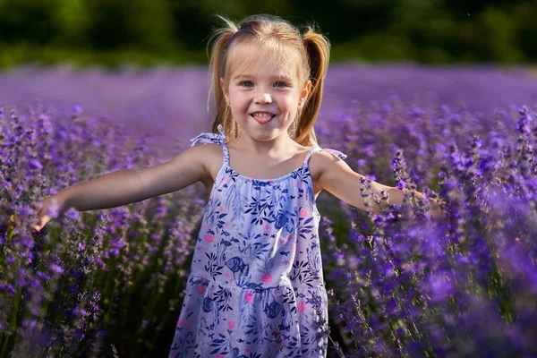 Retrato Una Hermosa Niña Con Coletas Campo Lavanda — Foto de Stock