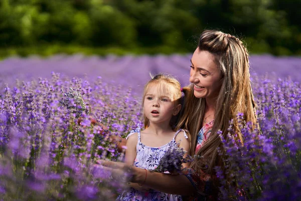 Mutter Und Tochter Einem Lavendelfeld Bei Sonnenuntergang Und Backen Sträuße — Stockfoto