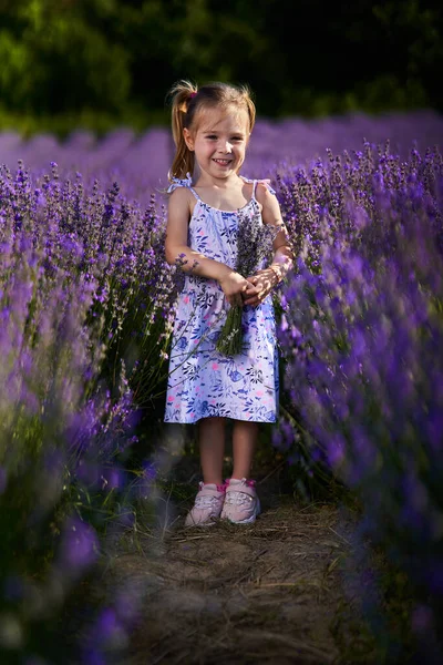 Entzückendes Kleines Mädchen Mit Einem Lavendelstrauß Inmitten Des Gartens — Stockfoto