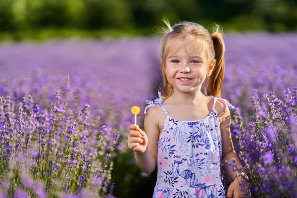 在薰衣草花园里放着棒棒糖的可爱小女孩 — 图库照片