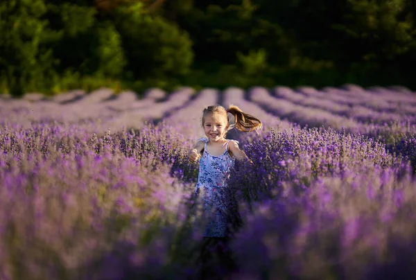 Adorable Niña Corriendo Través Campo Lavanda —  Fotos de Stock