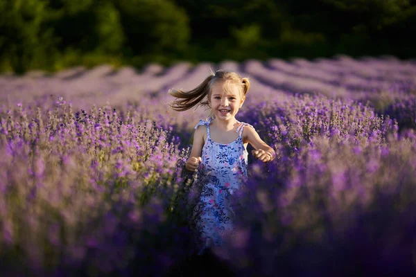 Sevimli Küçük Kız Lavanta Tarlasında Koşuyor — Stok fotoğraf