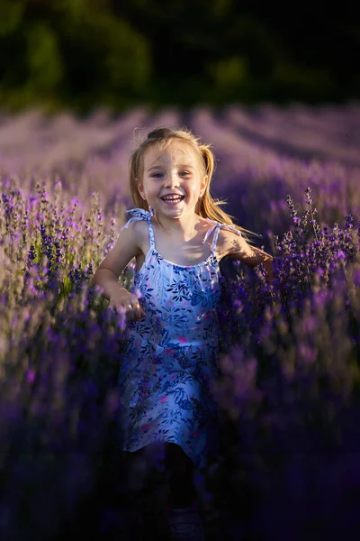 Liebenswertes Kleines Mädchen Läuft Durch Ein Lavendelfeld — Stockfoto