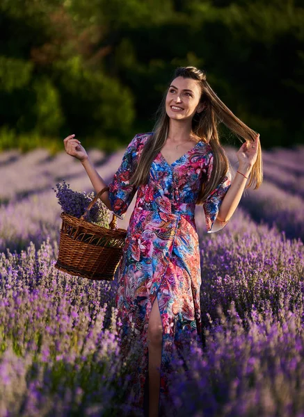 Jonge Mooie Vrouw Met Een Mand Van Boeketten Een Lavendelveld — Stockfoto