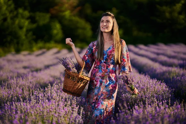 Jonge Mooie Vrouw Met Een Mand Van Boeketten Een Lavendelveld — Stockfoto