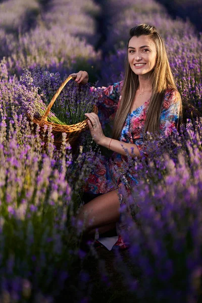 日落时分 一位年轻漂亮的女人在薰衣草地里提着一篮花 — 图库照片