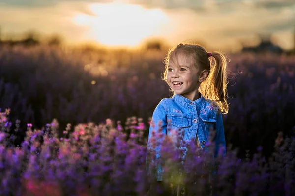 Schattig Klein Meisje Met Vlechten Bij Zonsondergang Een Bloeiend Lavendelveld — Stockfoto