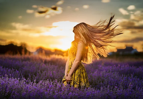 Hermosa Joven Atardecer Volteando Largo Cabello Campo Lavanda Plena Floración —  Fotos de Stock