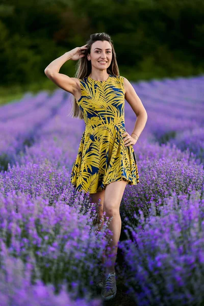 Mooie Jonge Vrouw Bij Zonsondergang Een Lavendelveld Volle Bloei — Stockfoto