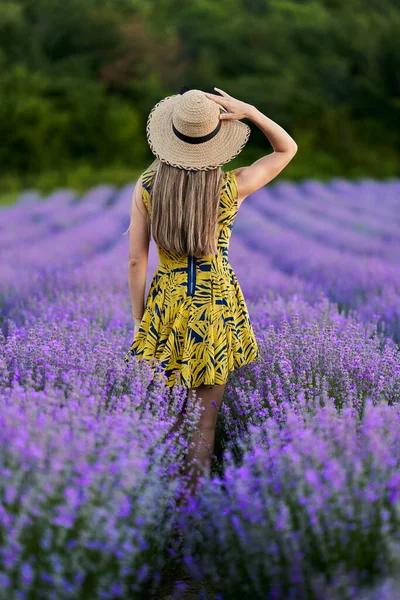 Hermosa Joven Atardecer Campo Lavanda Plena Floración —  Fotos de Stock