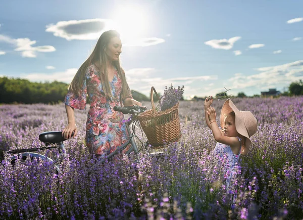 Schattig Klein Meisje Probeert Vullen Van Haar Moeder Lavendel Mand — Stockfoto