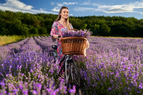 日落时分 美丽的年轻女子骑自行车在薰衣草地里 — 图库照片