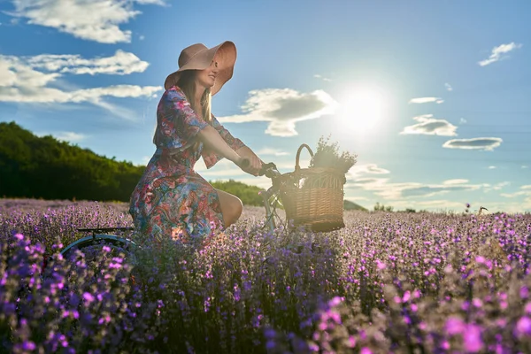 Beautiful Young Woman Riding Her Bicycle Lavender Field Sunset — Stock Photo, Image