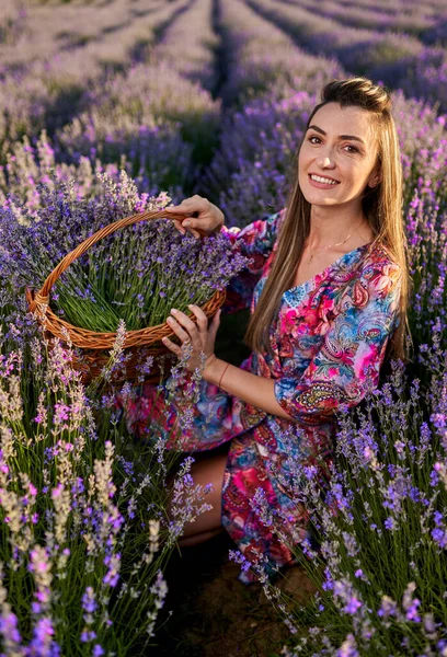 Beautiful Young Woman Sunset Lavender Field Full Bloom — Stock Photo, Image