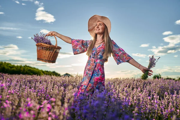 Mooie Jonge Vrouw Bij Zonsondergang Een Lavendelveld Volle Bloei — Stockfoto