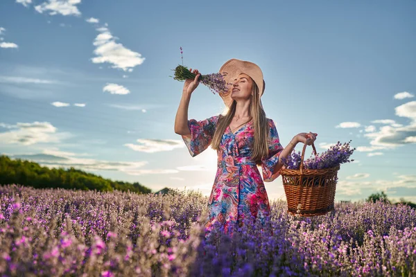 Mooie Jonge Vrouw Bij Zonsondergang Een Lavendelveld Volle Bloei — Stockfoto