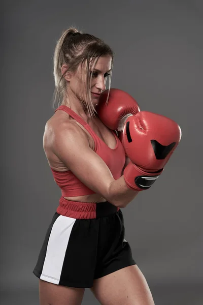 Boxerin Mit Roten Handschuhen Beim Training Studioaufnahme Auf Grauem Hintergrund lizenzfreie Stockfotos