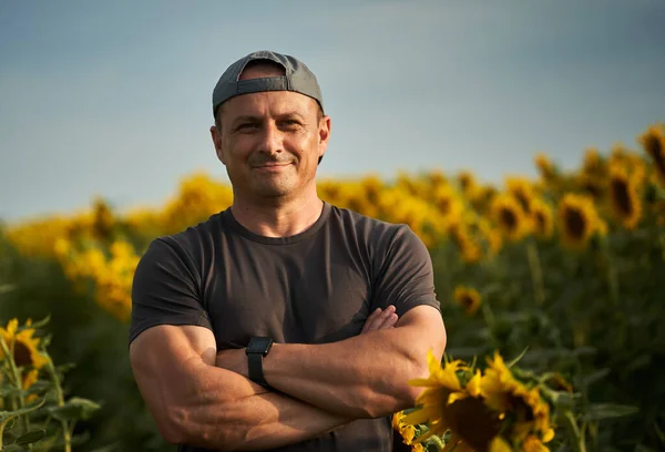 彼の腕が折り畳まれたひまわり畑に立つ幸せな農家 — ストック写真