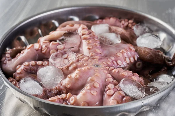 Fresh Octopus Ice Metal Bowl — Stock Photo, Image