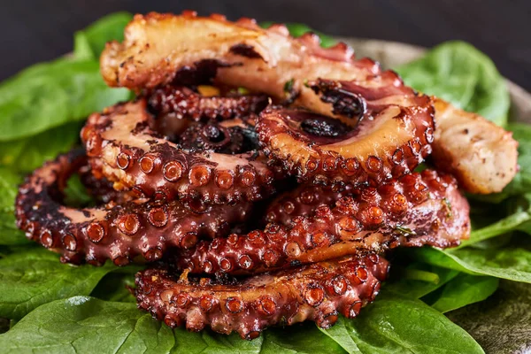 Grilled Octopus Baby Spinach Leaves — Stock Photo, Image