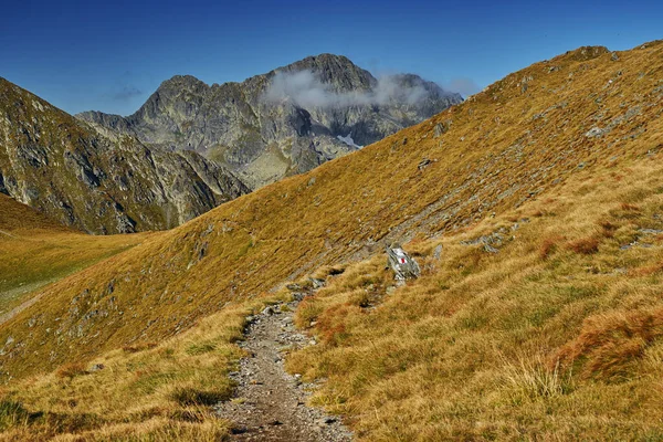 Spätsommerlandschaft Mit Dem Negoiu Gipfel Dem Zweithöchsten Berg Rumäniens — Stockfoto