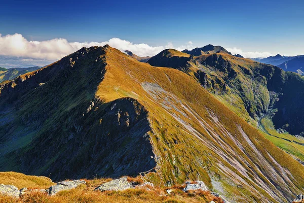 Spätsommerlandschaft Mit Dem Fagaras Gebirge Rumänien — Stockfoto
