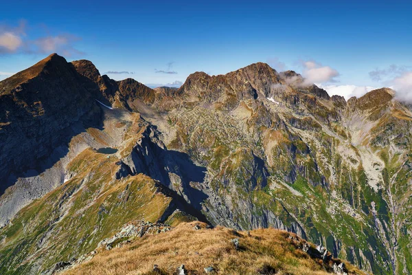 Τέλη Του Καλοκαιριού Τοπίο Κορυφή Negoiu Δεύτερο Υψηλότερο Βουνό Στη — Φωτογραφία Αρχείου