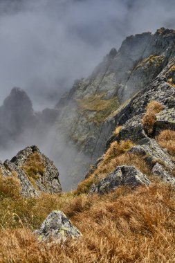 Romanya 'daki Fagaras sıradağları, yaz sonu kayalık zirveli manzarası