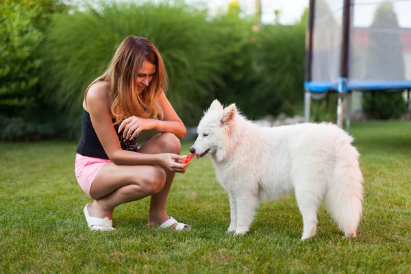 Senhora brincando com seu cão — Fotografia de Stock