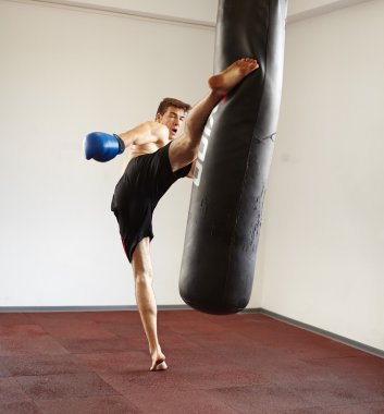 tekme yumruk torbası fighter