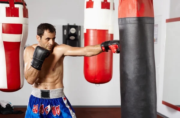 Boxer with the punching bag — Stock Photo, Image