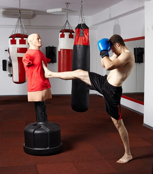Kickbox lutador trabalhando com o manequim Imagens De Bancos De Imagens Sem Royalties