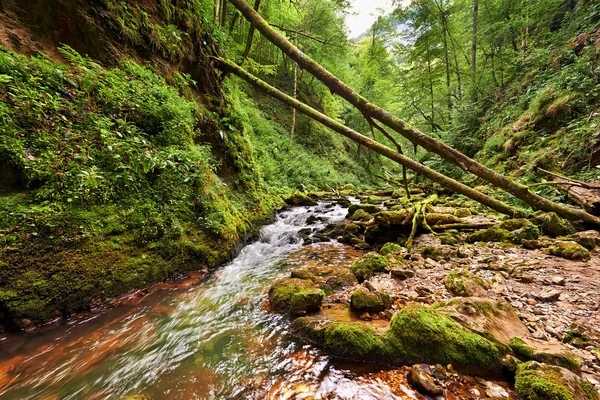 Fiume in un canyon — Foto Stock