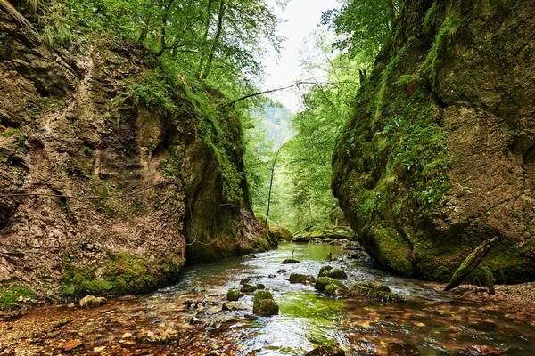 Nehirde bir kanyon — Stok fotoğraf