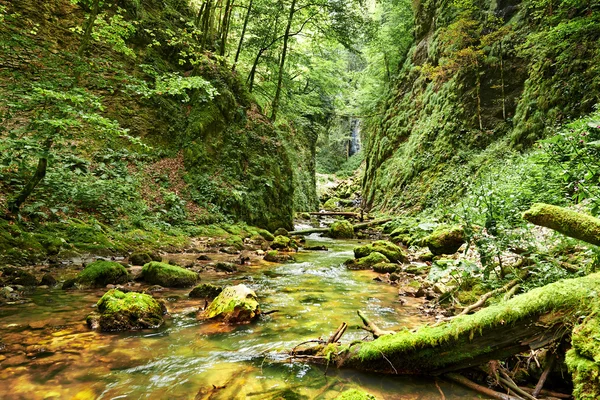 Río en un cañón — Foto de Stock