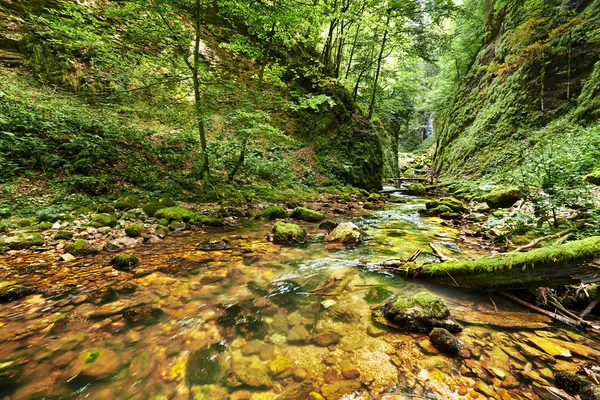 Río en un cañón — Foto de Stock