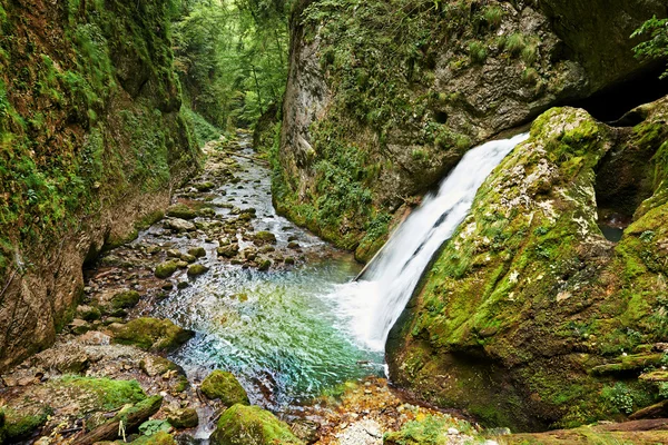 Cachoeira do desfiladeiro de Galbenei — Fotografia de Stock