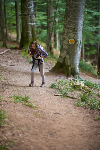 Mulher com mochila caminhando na floresta — Fotografia de Stock