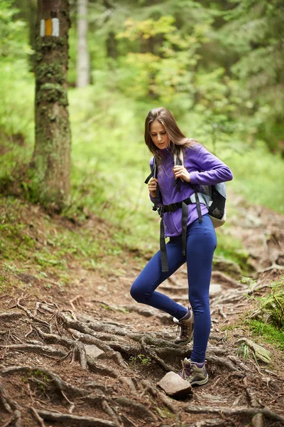 Vrouw met rugzak wandelen in het bos — Stockfoto