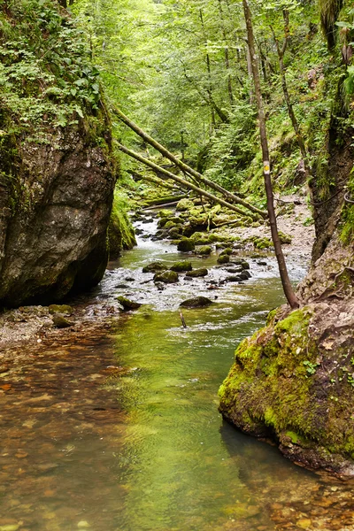 Río en un cañón — Foto de Stock