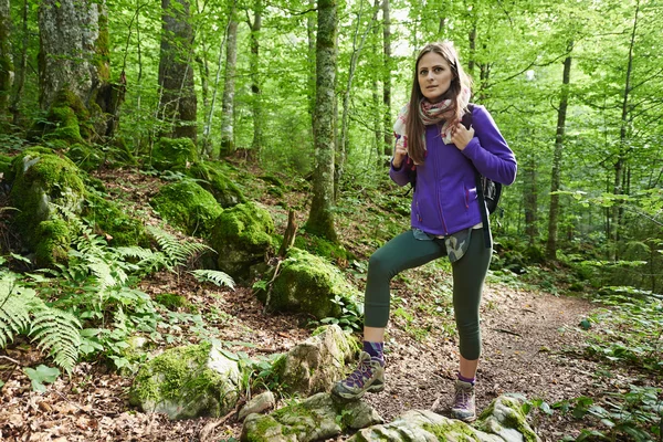 Mulher com mochila caminhando na floresta Fotos De Bancos De Imagens